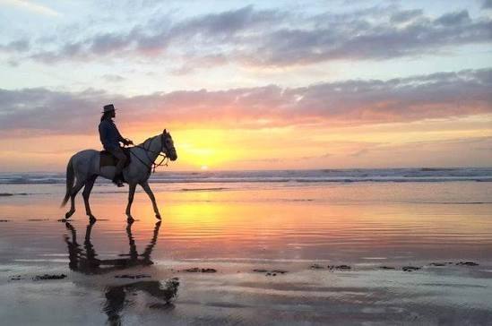 Escursione a cavallo sulla spiaggia di Essaouira al tramonto