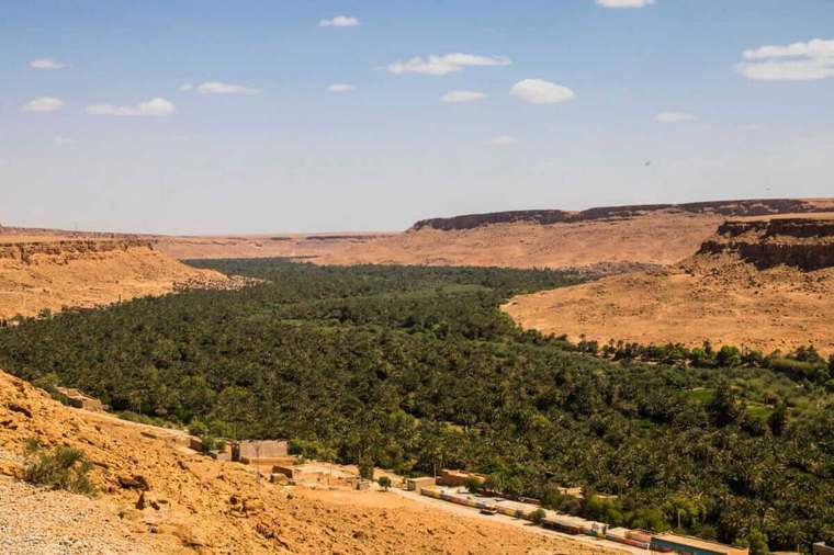 Il palmeto della Valle dello Ziz tra le falesie del deserto